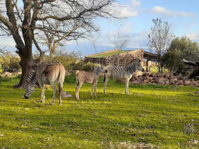 Welbedacht Game & Nature Reserve
